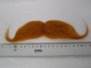 1961_orange